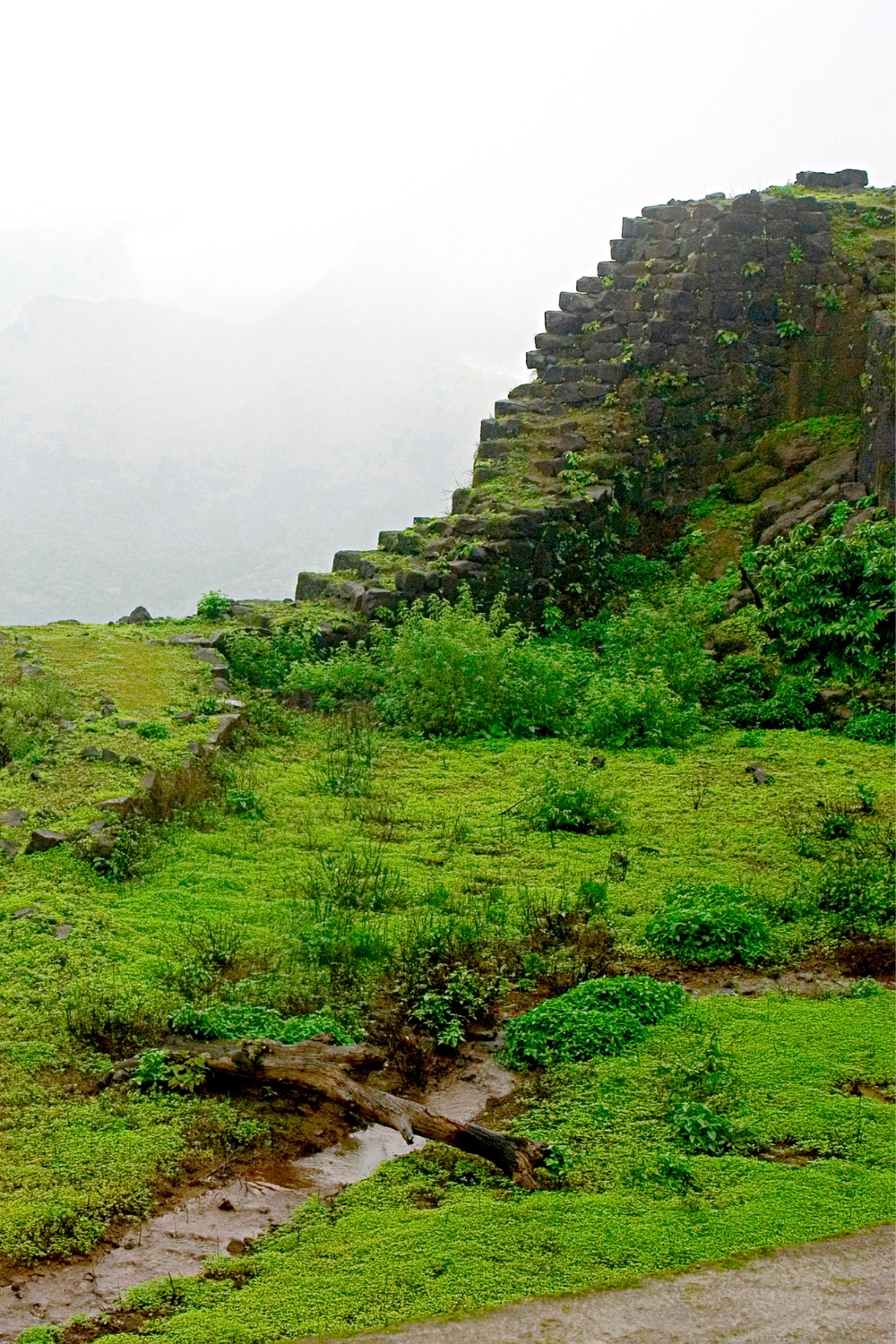 Mahabaleshwar - The Strawberry Capital