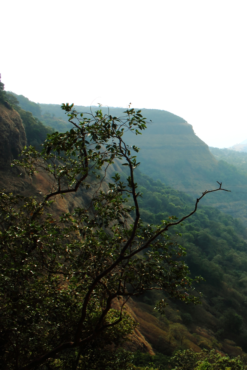 Matheran - Asia's Only Automobile-Free Hill Station