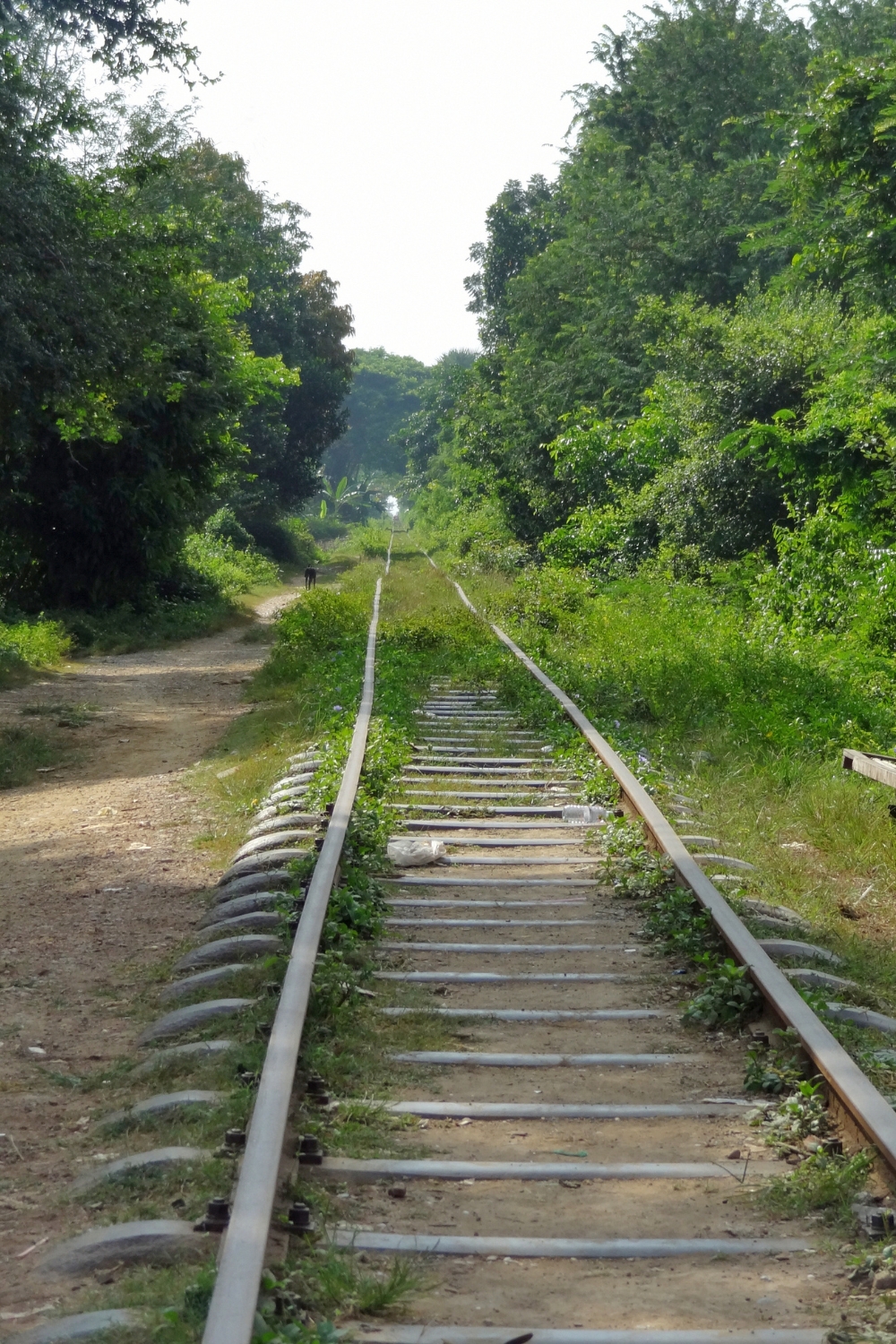 Bamboo Train (Norry) - Unique Rail Adventure