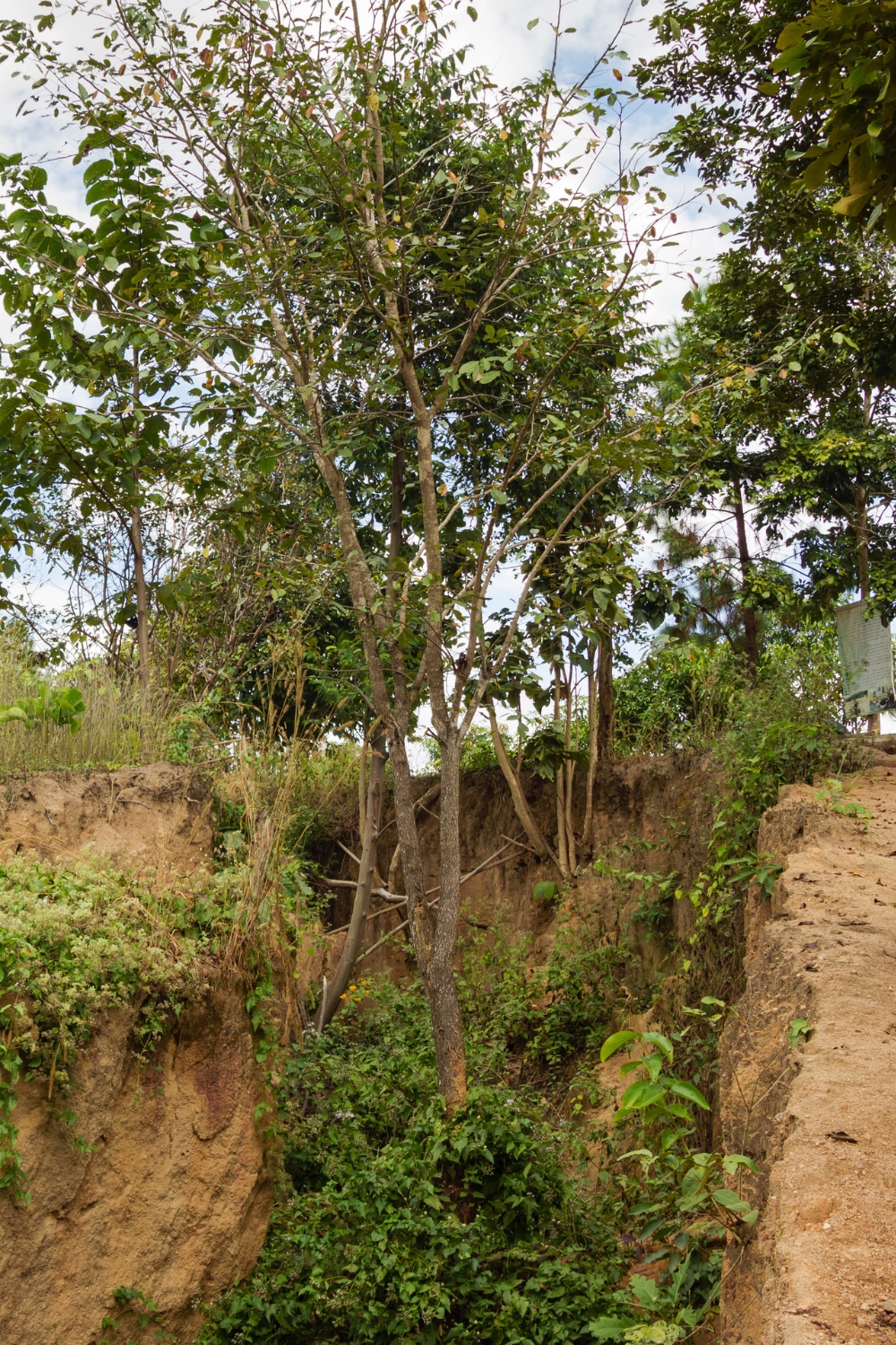 Pai Land Split - Geological Wonder