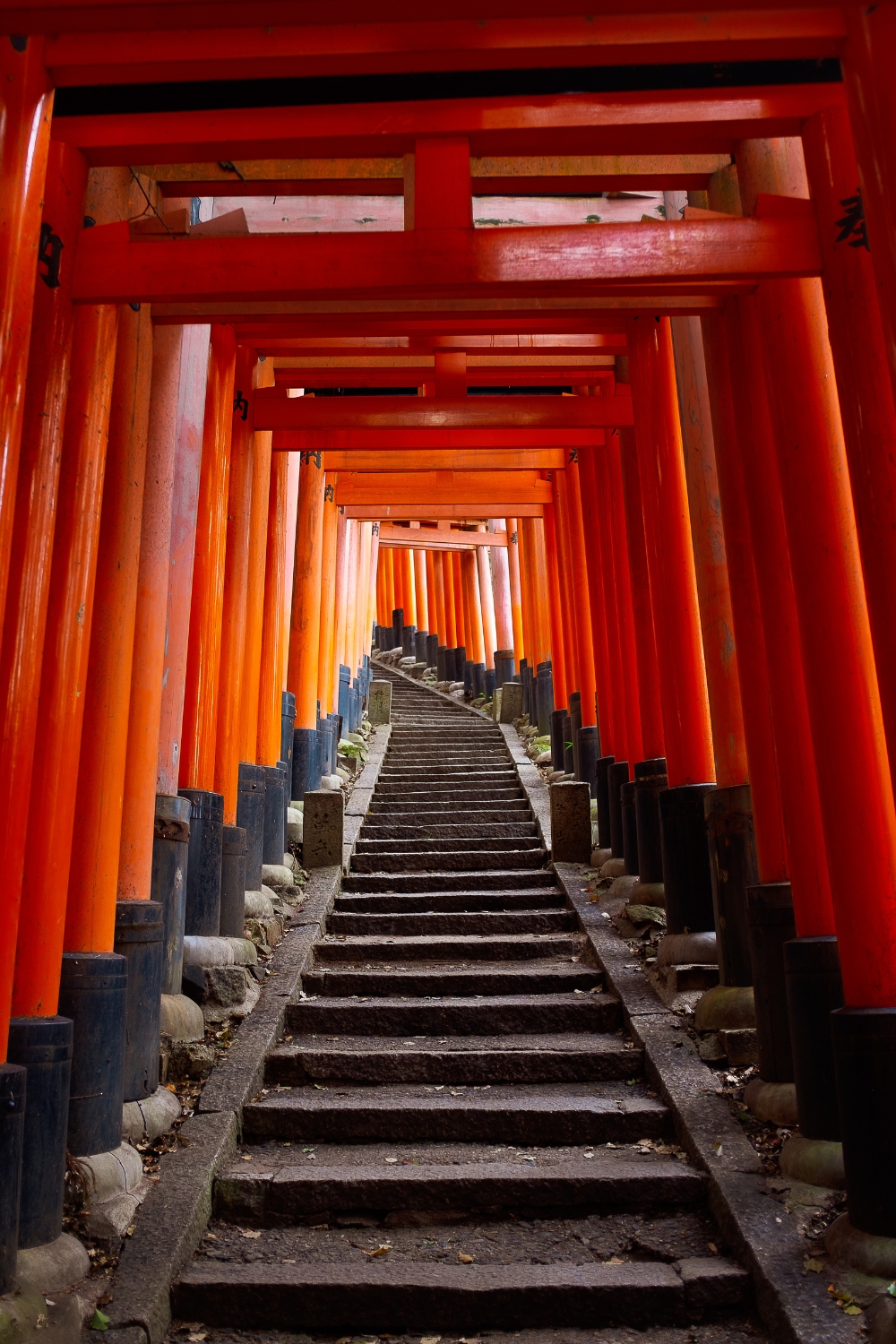 Fushimi Inari Shrine - Ten Thousand Vermillion Gates