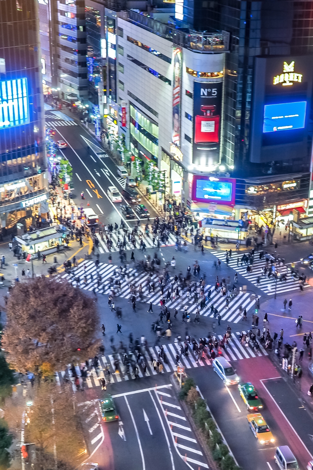 Shibuya Crossing - The World's Busiest Intersection