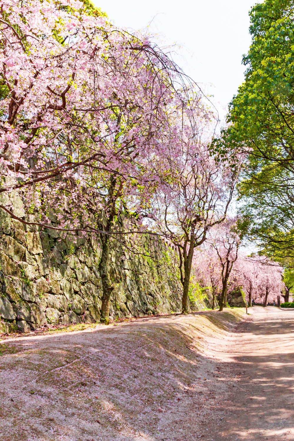 Fukuoka Castle Ruins and Maizuru Park - Historical Heart