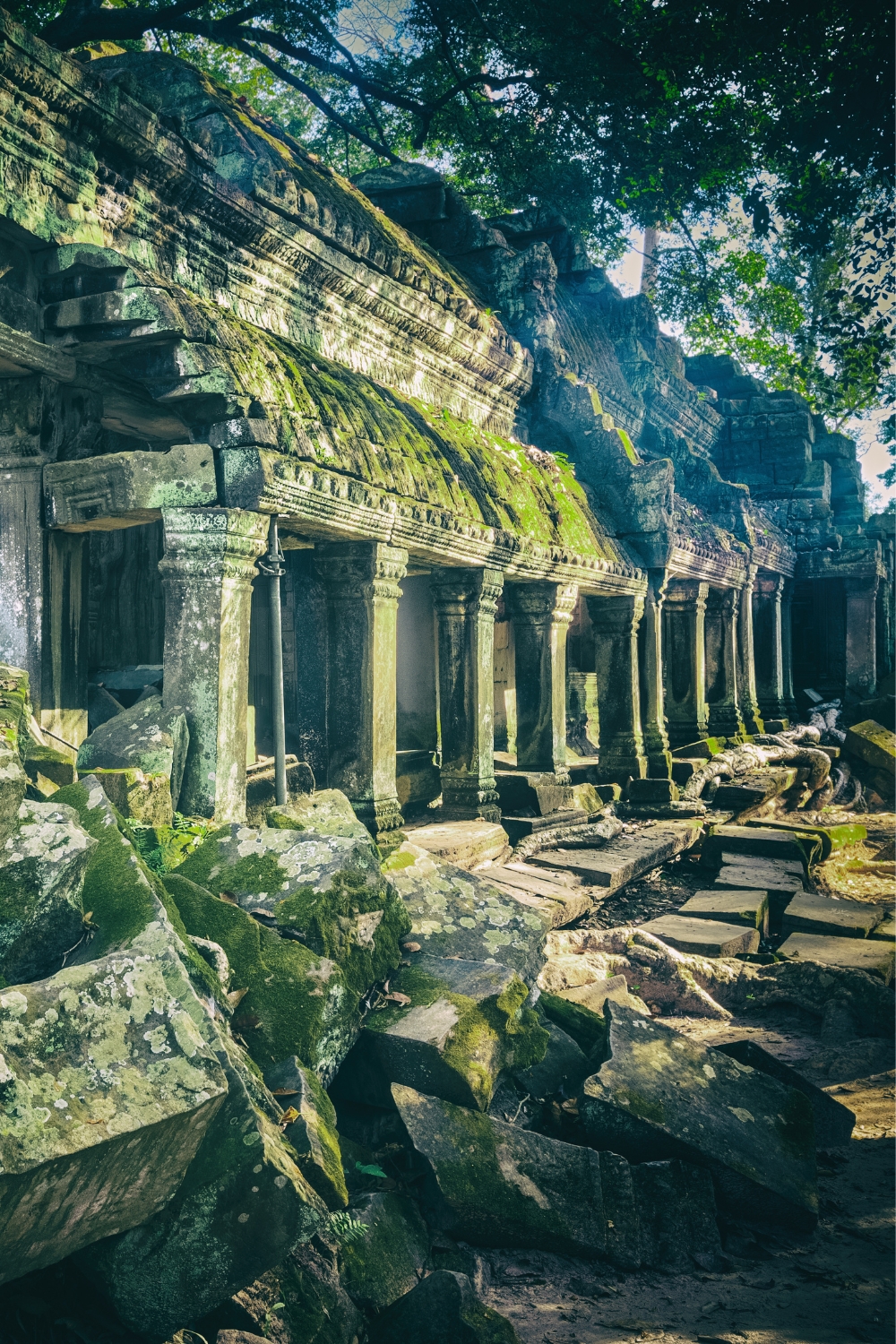 Ta Prohm - Nature Meets Architecture