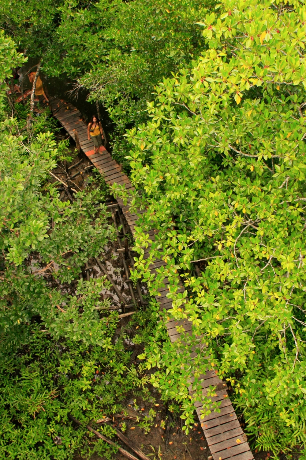 Ream National Park - Wildlife and Nature
