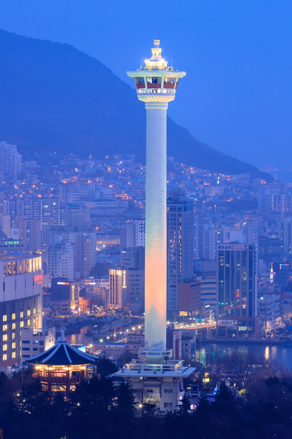 Busan Tower and Yongdusan Park - City Panorama