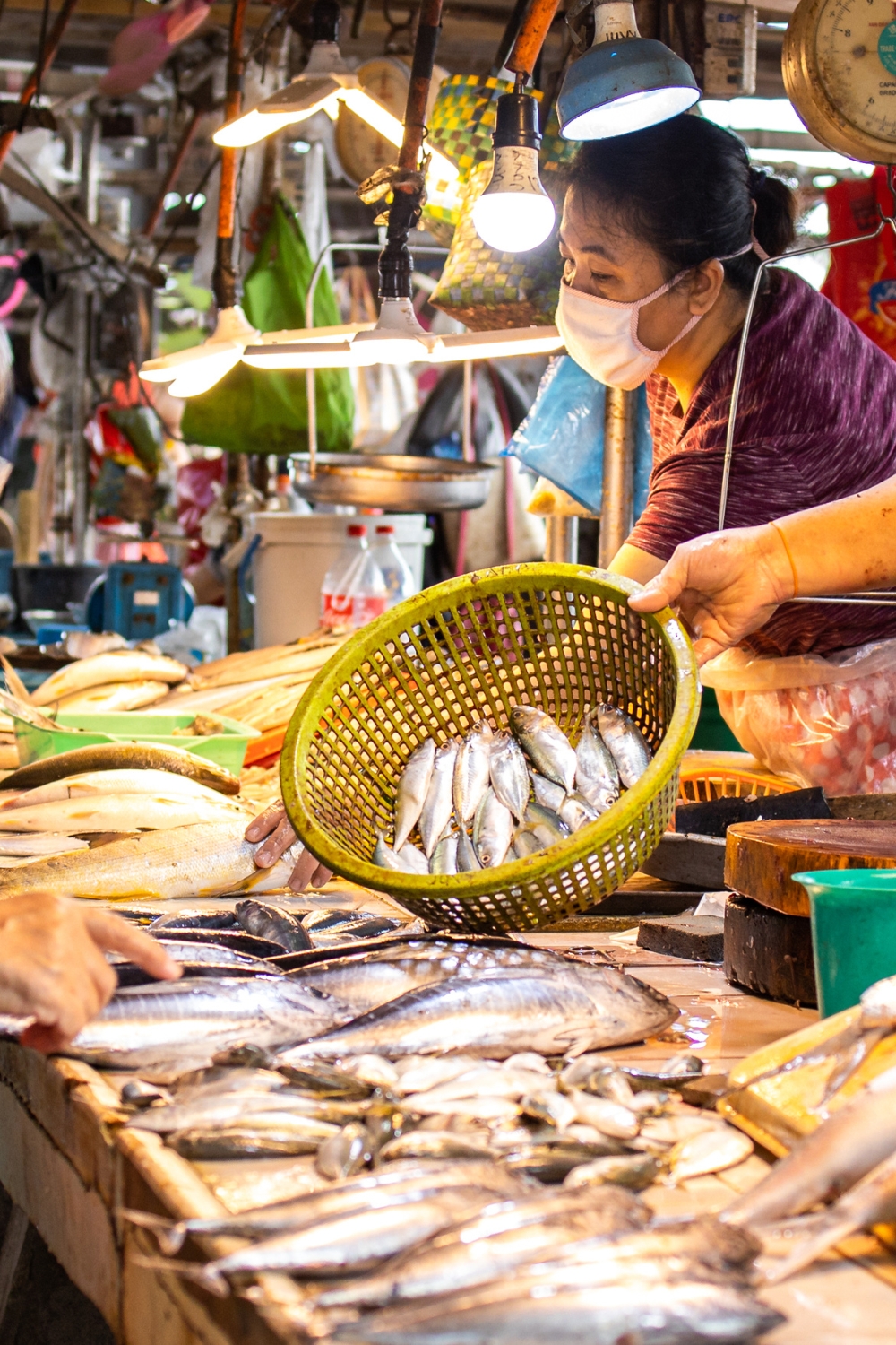 Choshi Fish Market - Fresh Seafood Paradise