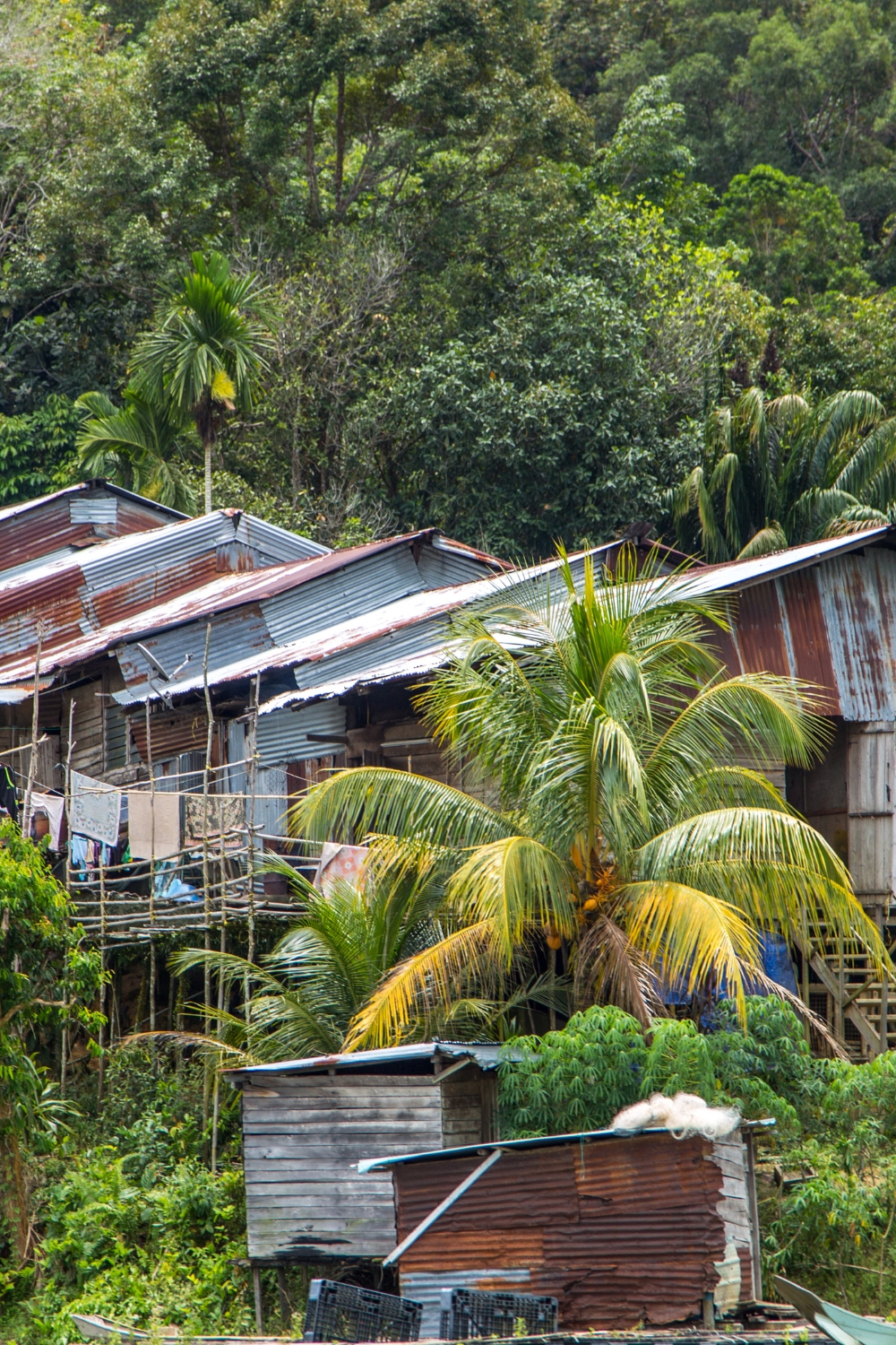 Iban Longhouse Experience - Traditional Culture Immersion