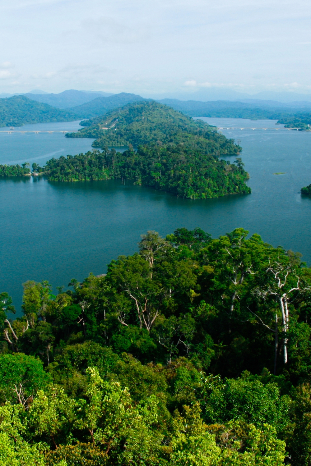 Royal Belum State Park - Pristine Rainforest