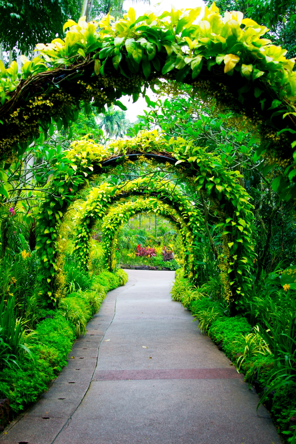 Singapore Botanic Gardens - UNESCO World Heritage Site