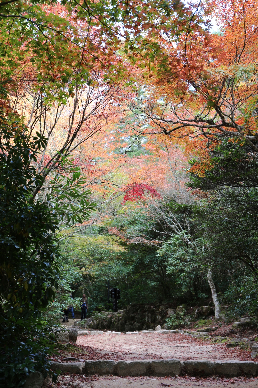 Autumn Colors and Seasonal Beauty