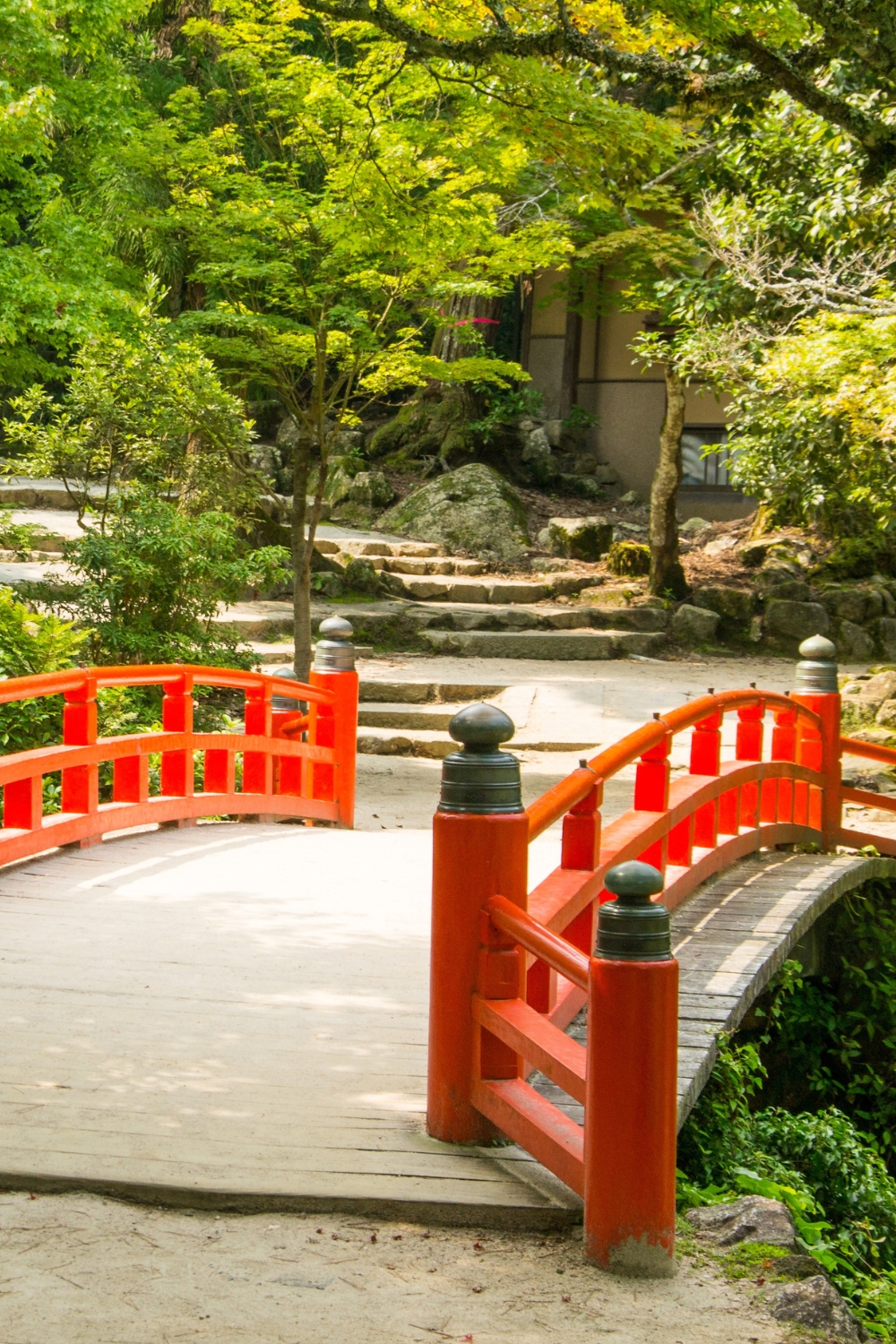 Momijidani Park - Maple Valley Paradise