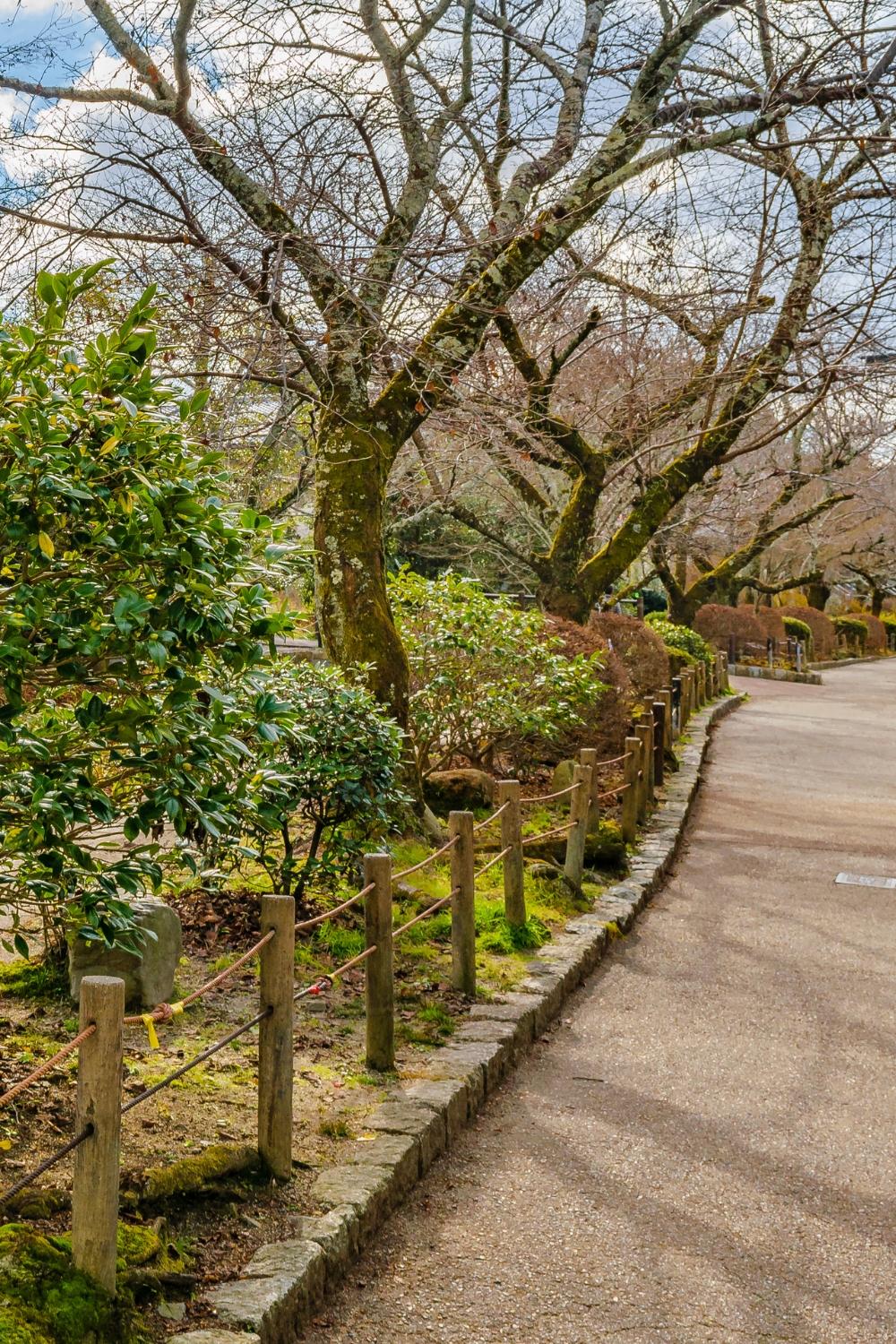 Philosopher's Path - Meditative Cherry Blossom Walk
