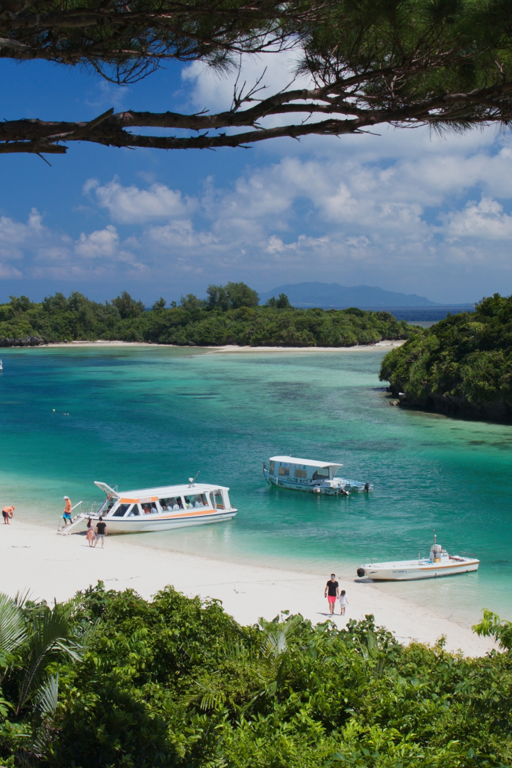 Ishigaki Island - Tropical Adventure Base
