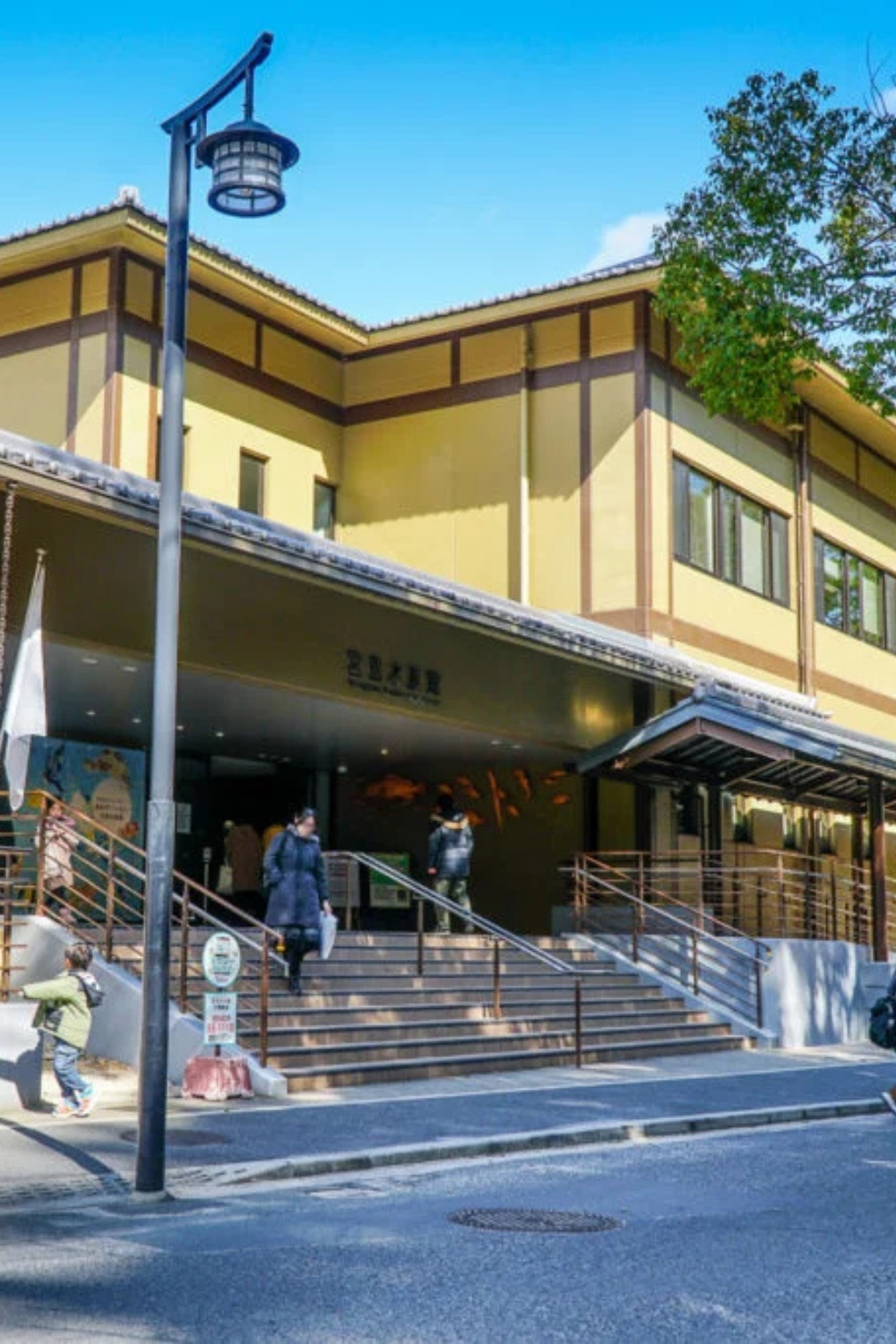 Miyajima Public Aquarium - Marine Life Discovery
