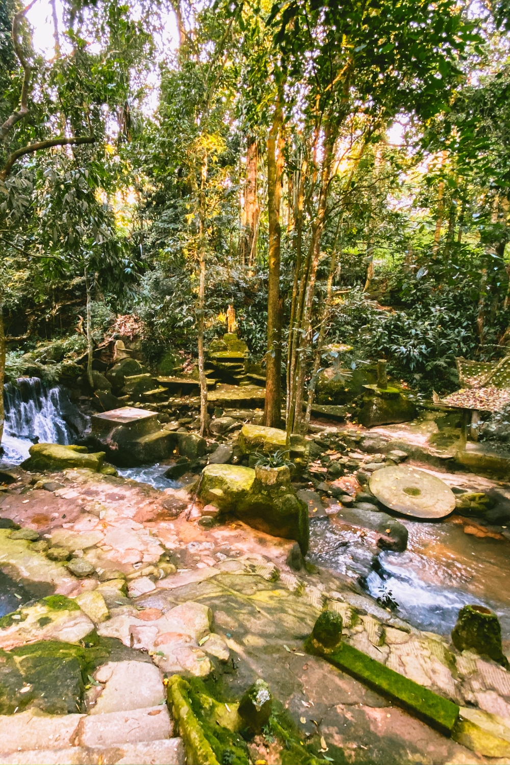 Secret Buddha Garden - Hidden Jungle Sanctuary