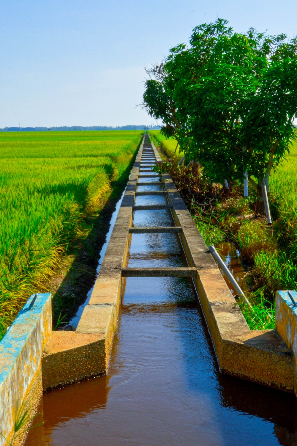 Sekinchan - Padi Fields and Coastal Beauty
