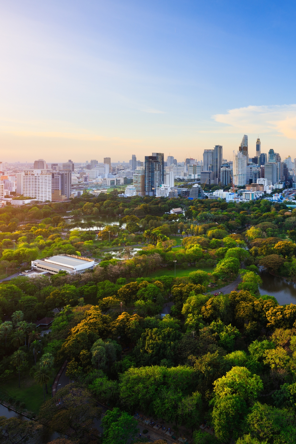 Lumpini Park - Green Oasis in the City
