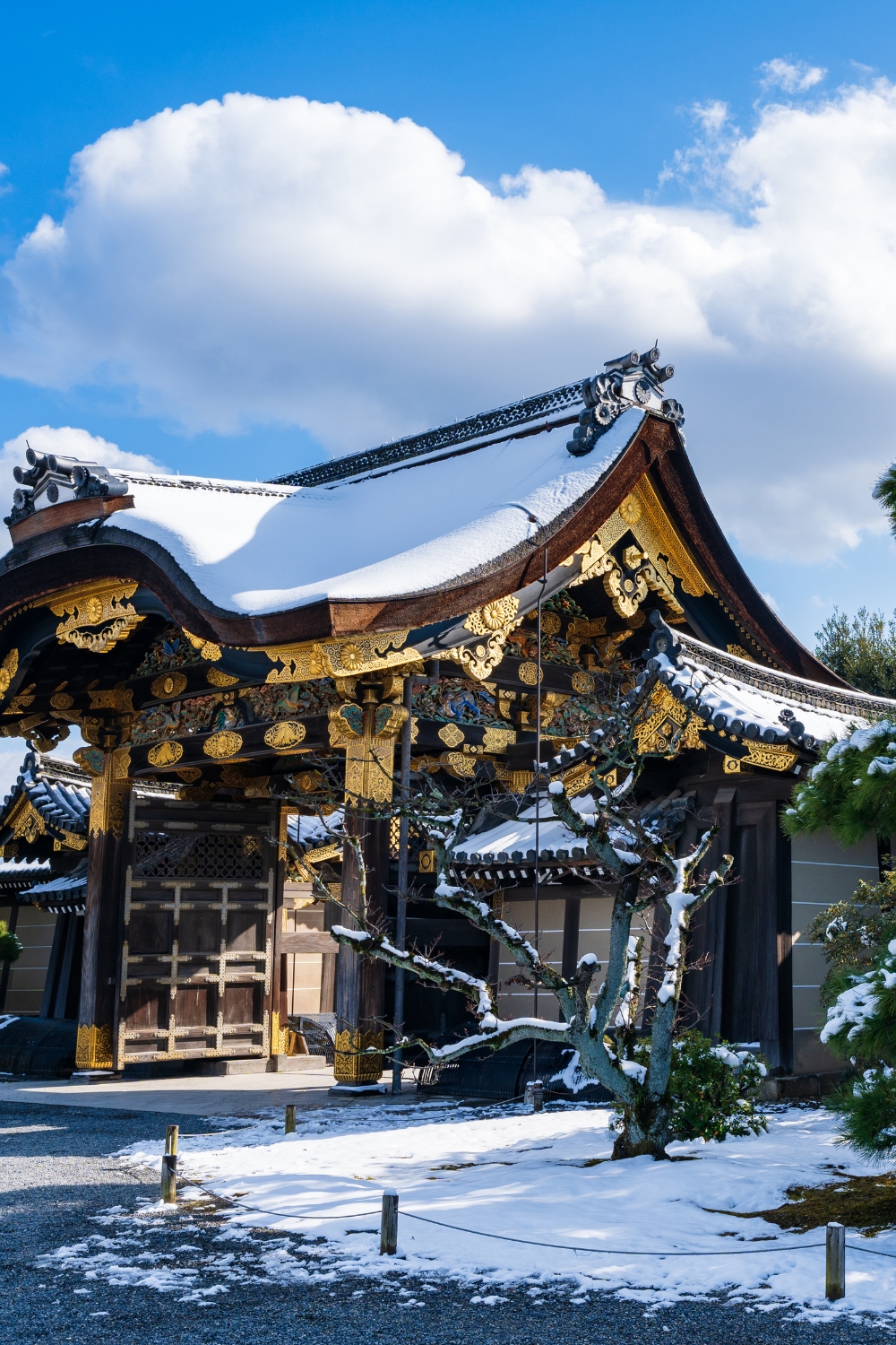 Nijo Castle - Shogun's Palace and Gardens