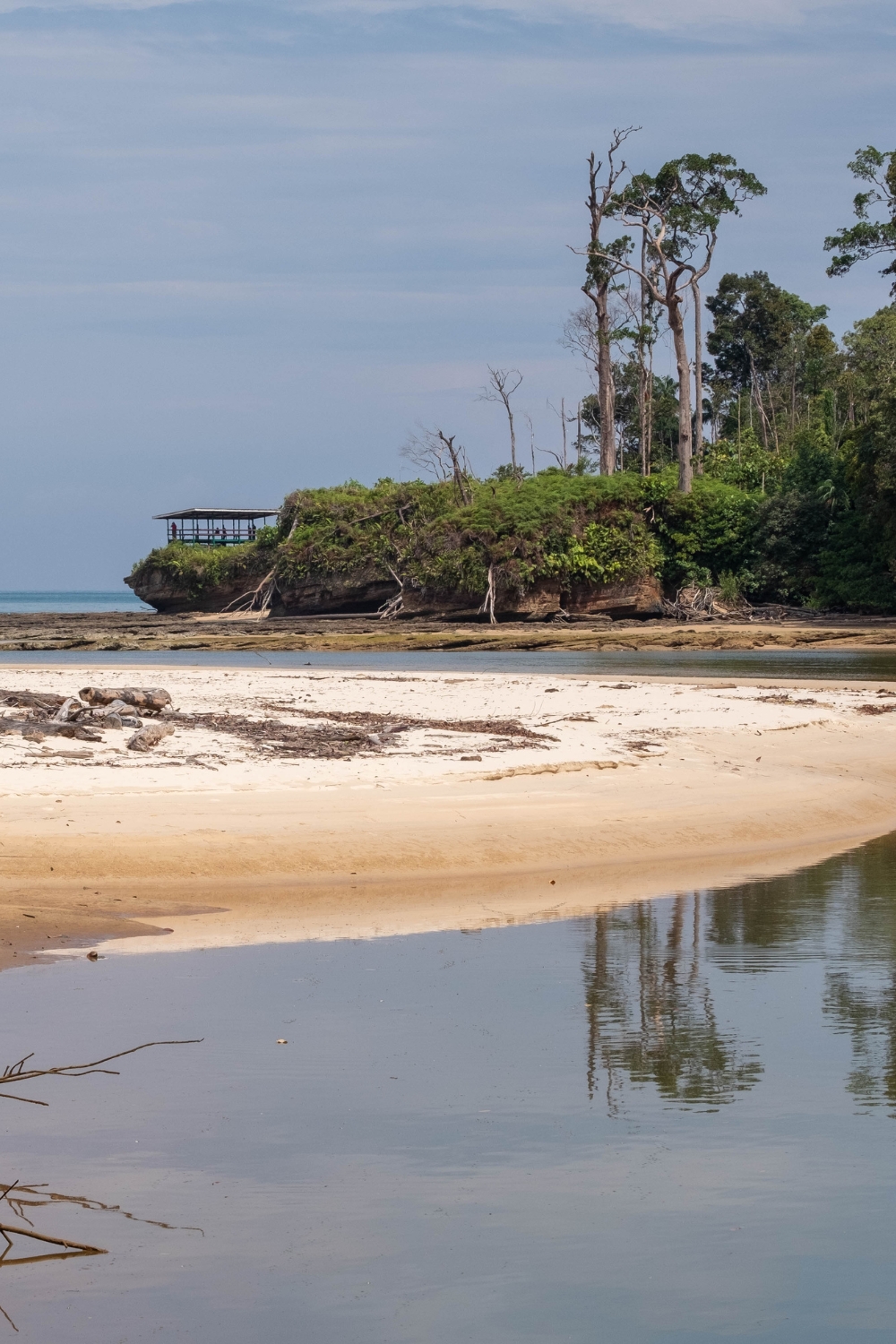 Similajau National Park - Pristine Beaches and Coastal Forest