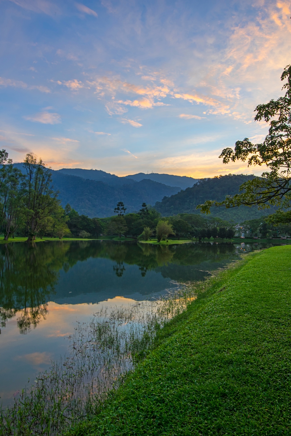 Taiping Lake Gardens - Tranquil Beauty