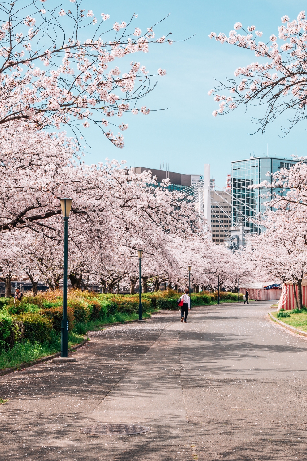 Ueno Park - Cultural and Natural Sanctuary