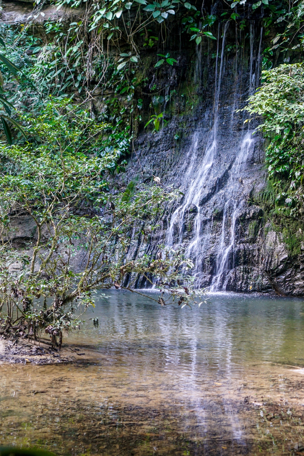 Batang Ai National Park - Pristine Rainforest and Wildlife