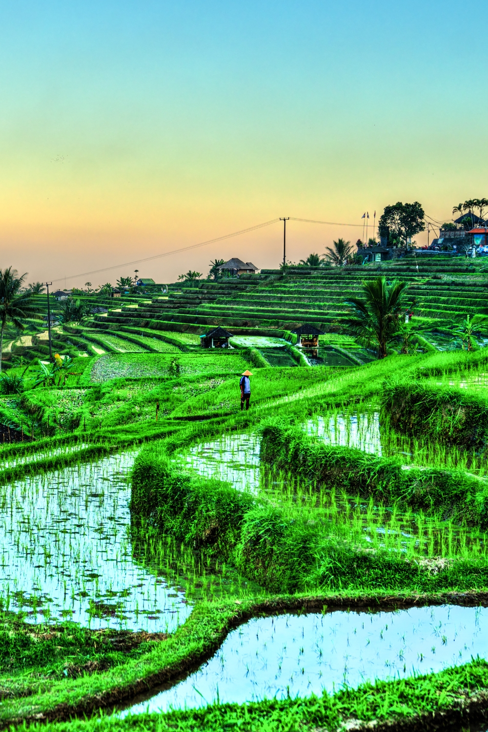 Jatiluwih Rice Terraces - UNESCO World Heritage