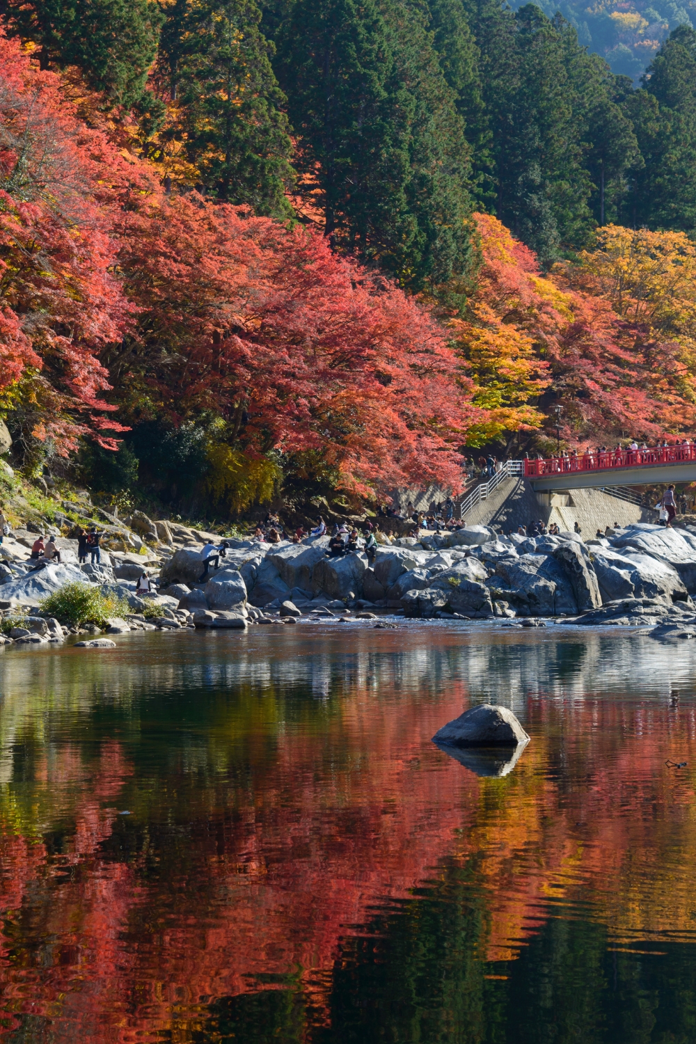 Korankei Gorge - Autumn Foliage Spectacular