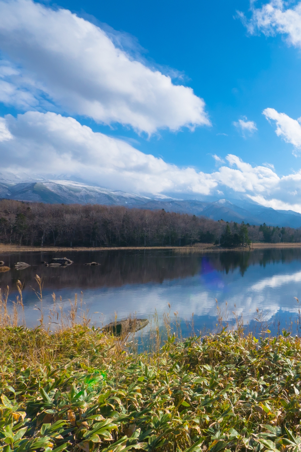 Shiretoko National Park - UNESCO World Heritage Wilderness